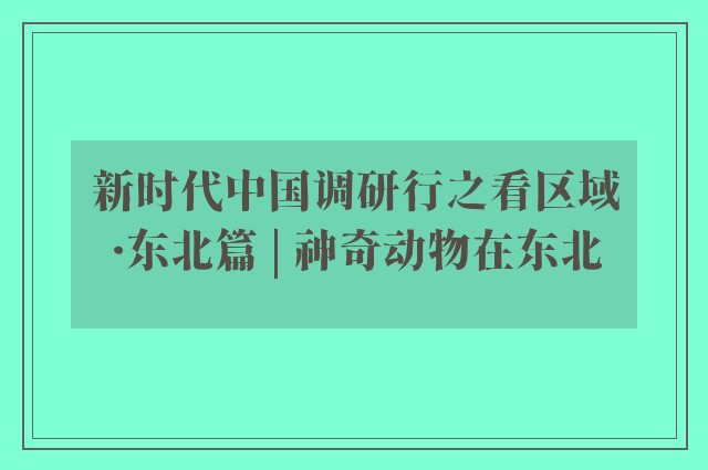 新时代中国调研行之看区域·东北篇 | 神奇动物在东北