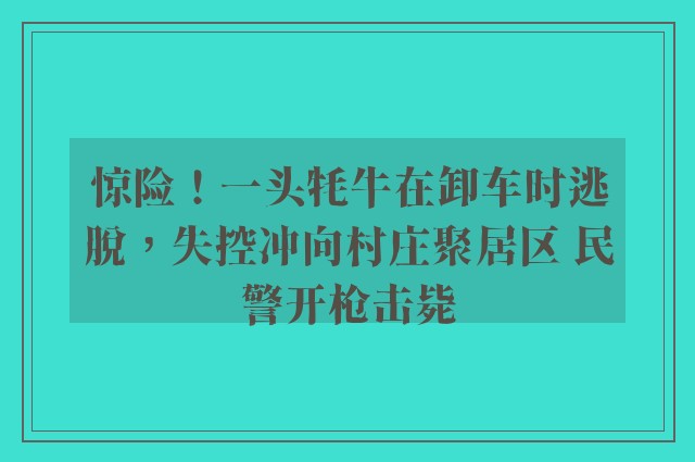 惊险！一头牦牛在卸车时逃脱，失控冲向村庄聚居区 民警开枪击毙