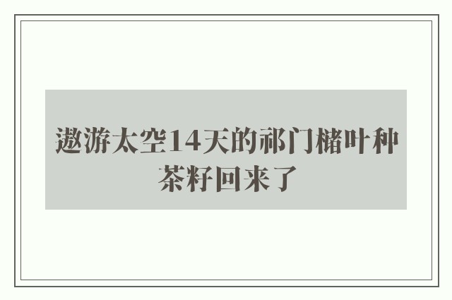 遨游太空14天的祁门槠叶种茶籽回来了