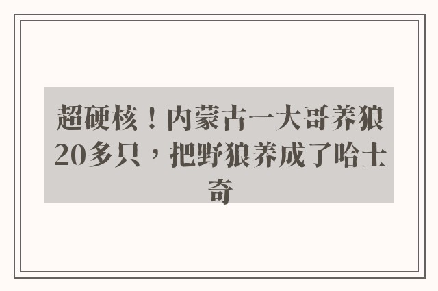 超硬核！内蒙古一大哥养狼20多只，把野狼养成了哈士奇