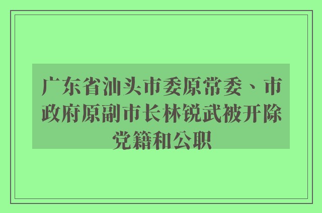 广东省汕头市委原常委、市政府原副市长林锐武被开除党籍和公职